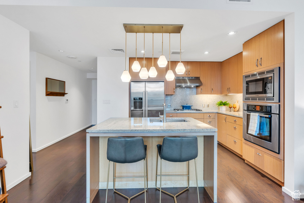 Kitchen with pendant lighting, hardwood / wood-style floors, stainless steel appliances, and backsplash