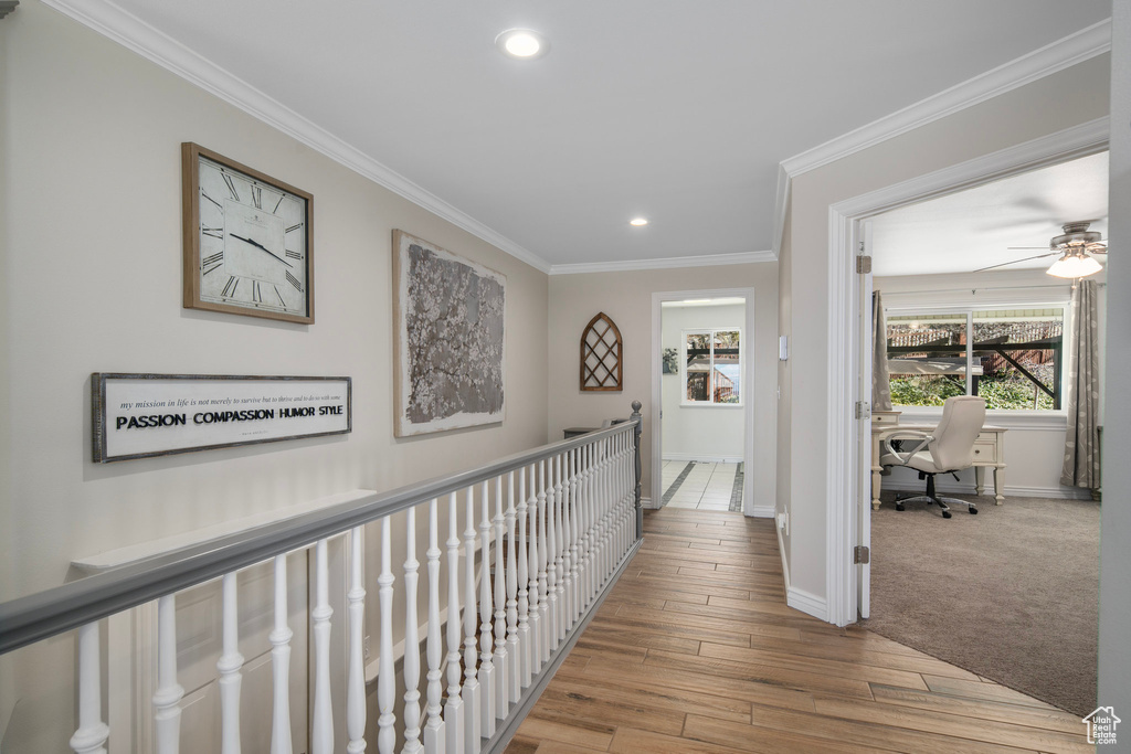 Hallway with light hardwood / wood-style flooring and crown molding