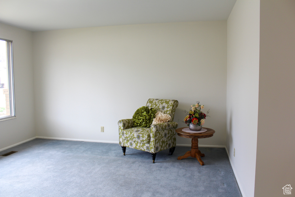 Living area with dark colored carpet