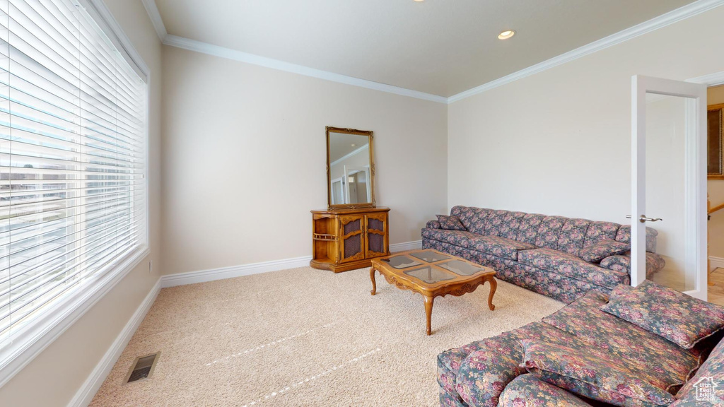 Carpeted living room with ornamental molding