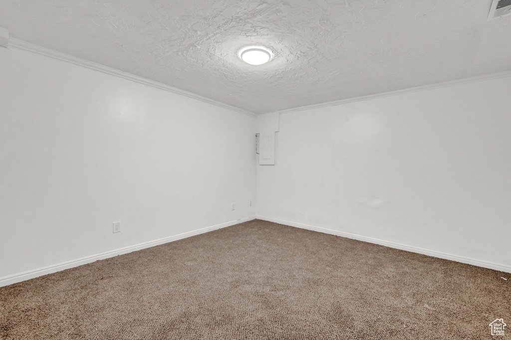 Carpeted empty room with a textured ceiling and crown molding