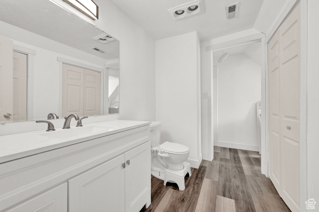 Bathroom with wood-type flooring, vanity with extensive cabinet space, and toilet