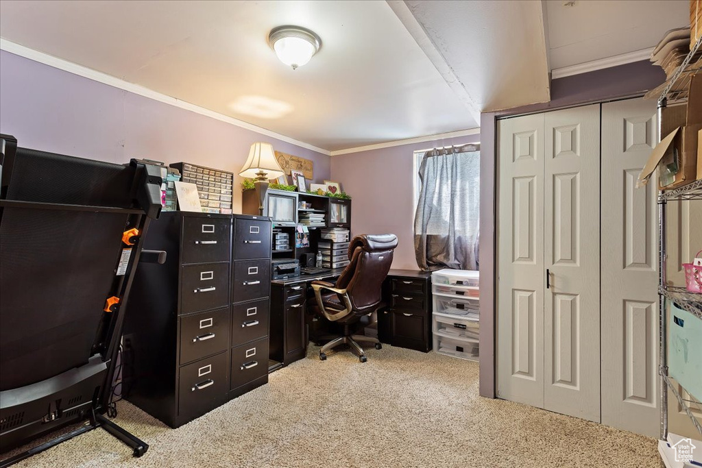 Office space featuring light colored carpet and crown molding