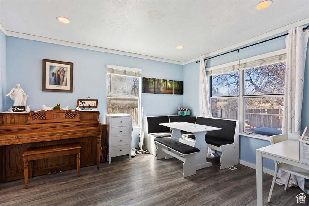 Home office featuring dark hardwood / wood-style floors