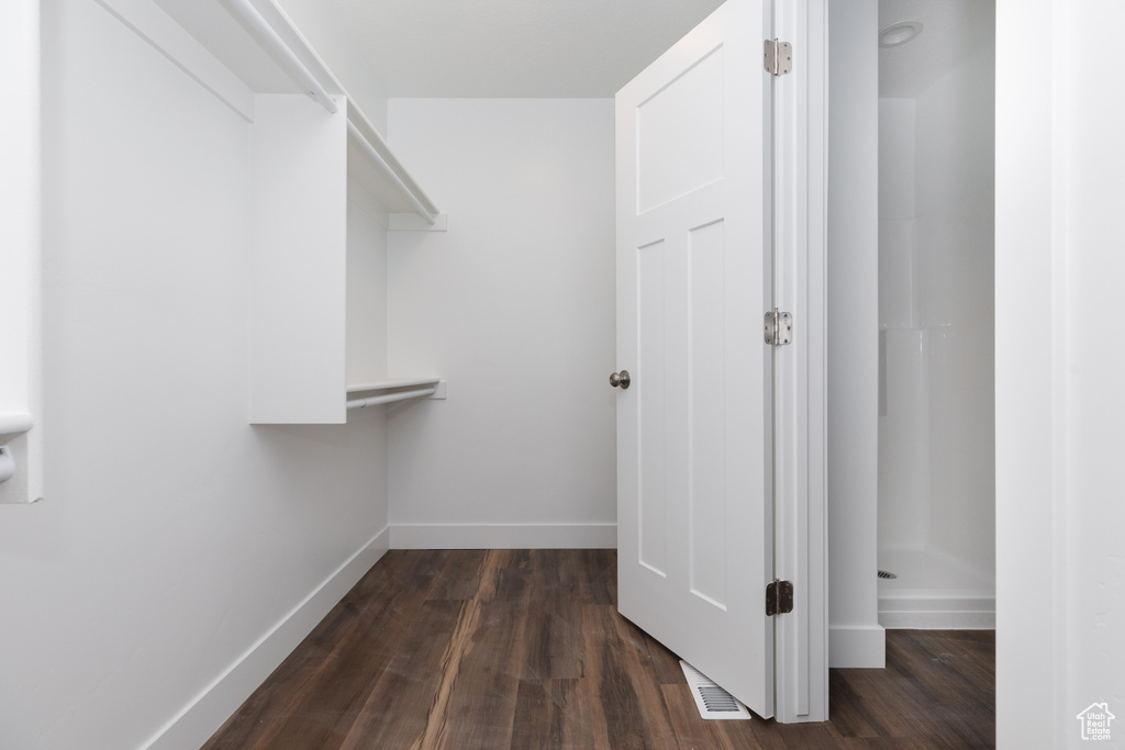 Walk in closet with dark wood-type flooring