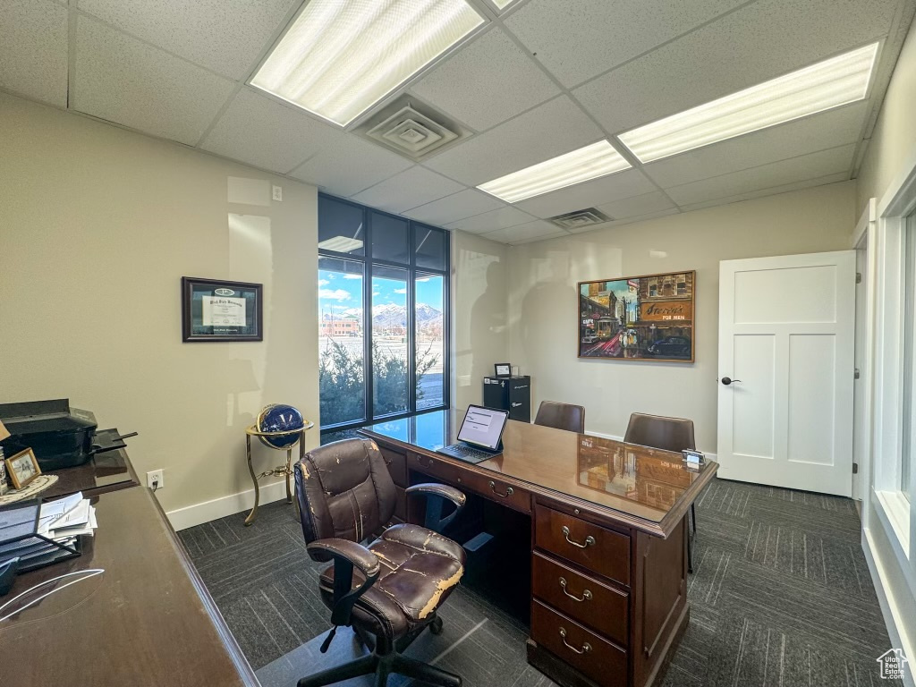 Carpeted office space featuring a paneled ceiling and expansive windows