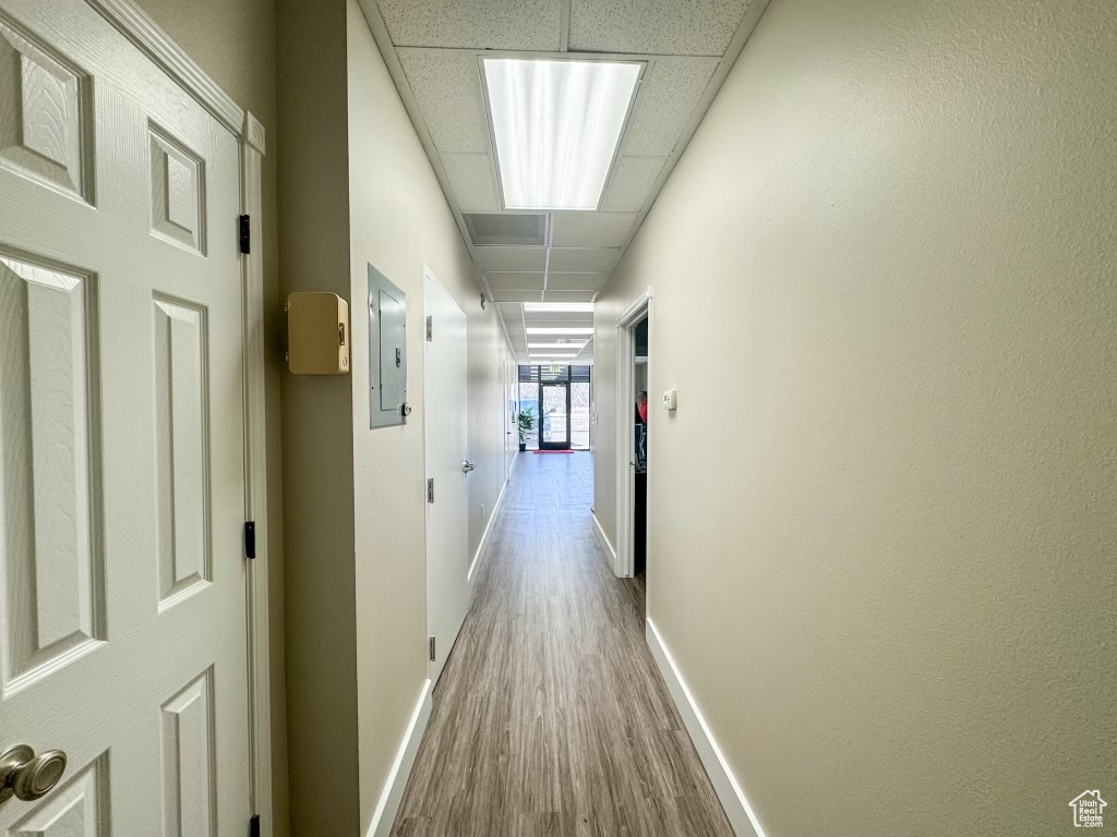 Hallway with a drop ceiling and hardwood / wood-style flooring