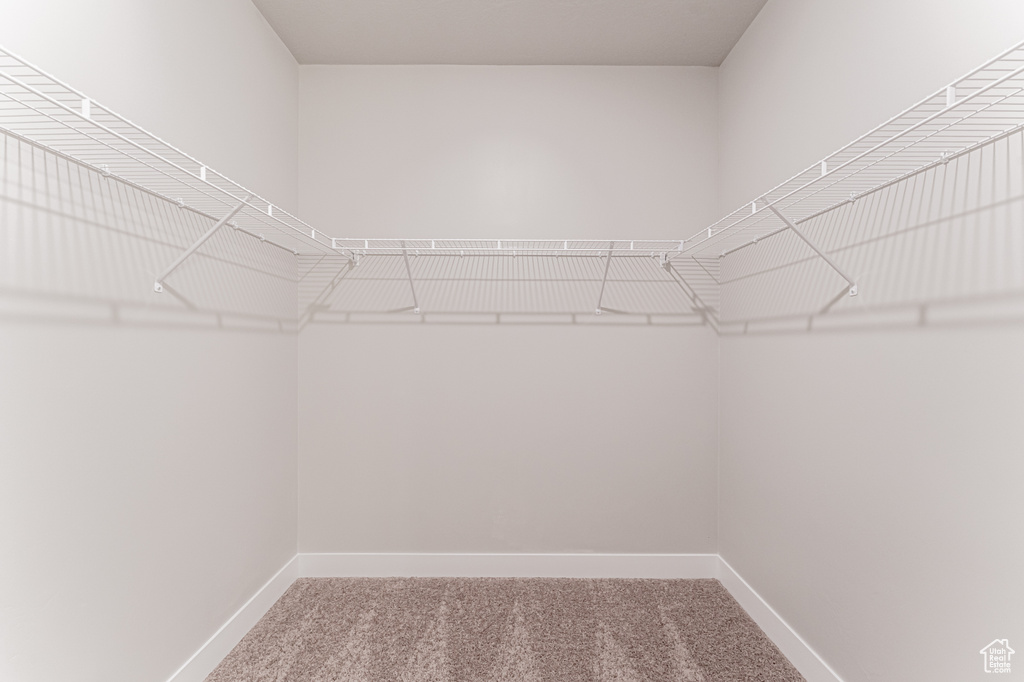 Walk in closet with carpet