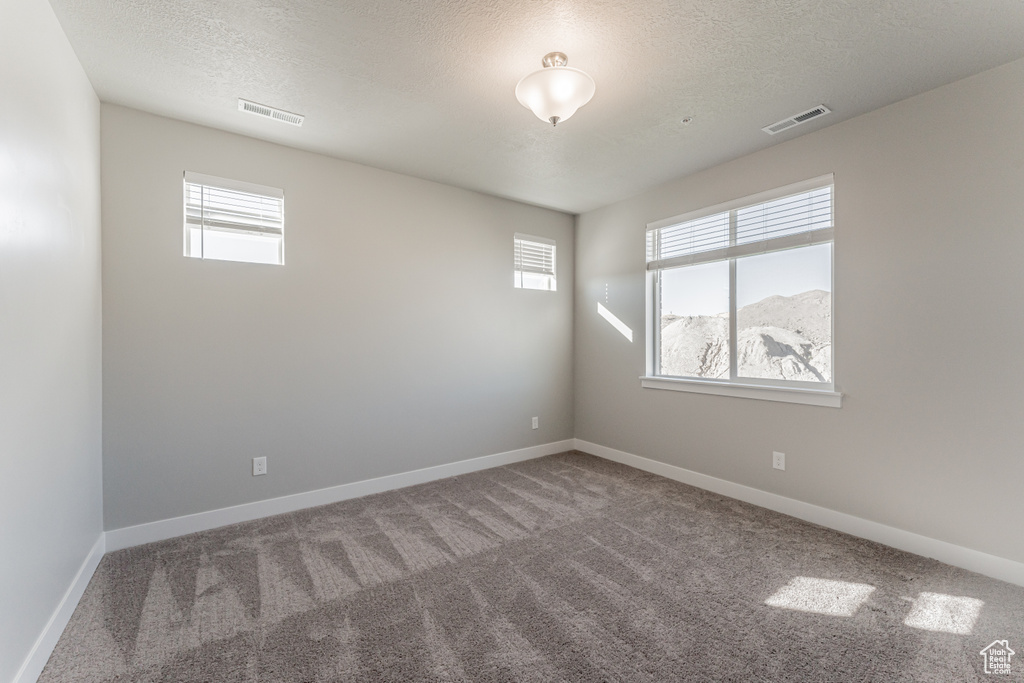 Unfurnished room with a textured ceiling, carpet flooring, and a wealth of natural light