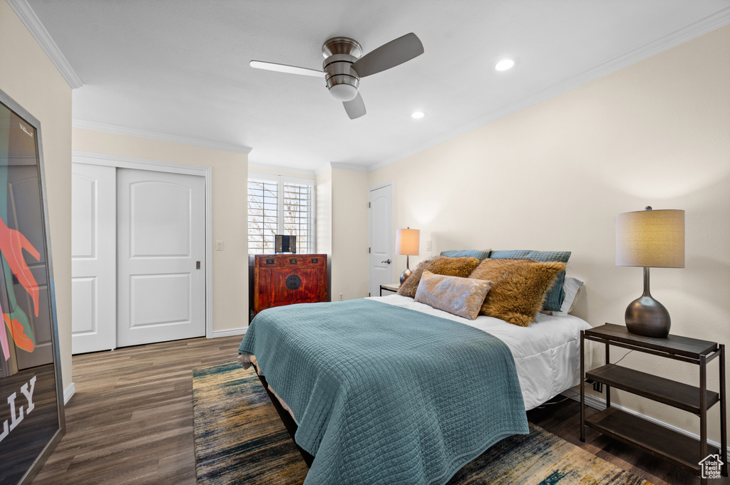 Bedroom featuring crown molding, ceiling fan, and dark hardwood / wood-style flooring