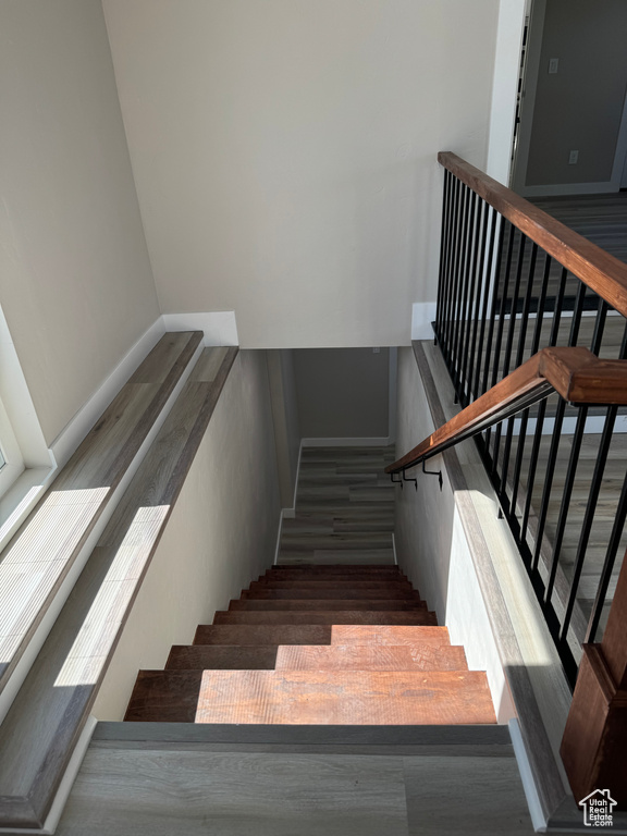 Stairs with dark wood-type flooring