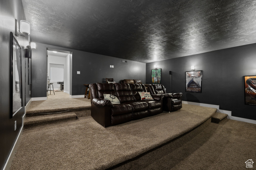 Cinema room with a textured ceiling and light colored carpet