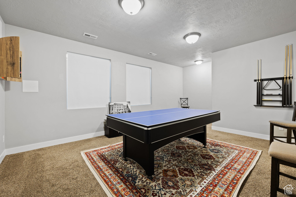 Rec room with a textured ceiling and light colored carpet