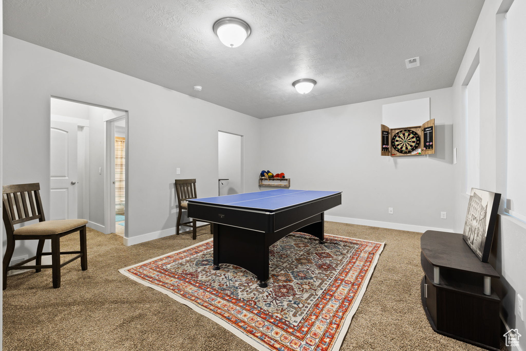 Recreation room featuring a textured ceiling and carpet