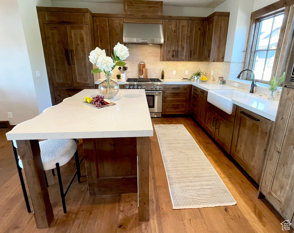 Kitchen featuring stainless steel range, range hood, tasteful backsplash, sink, and light wood-type flooring