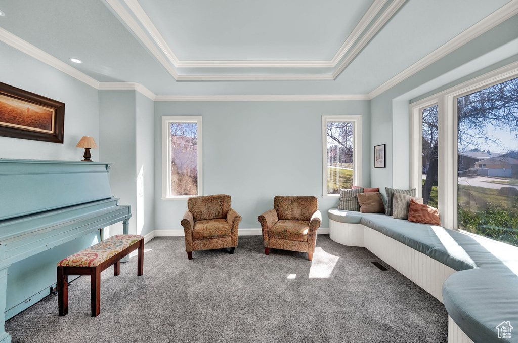 Interior space featuring a tray ceiling, carpet flooring, and ornamental molding