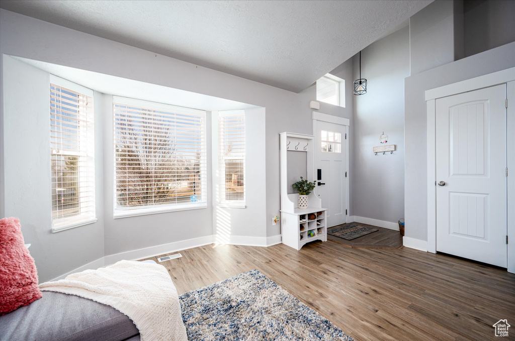 Living area featuring plenty of natural light, lofted ceiling, and dark hardwood / wood-style flooring