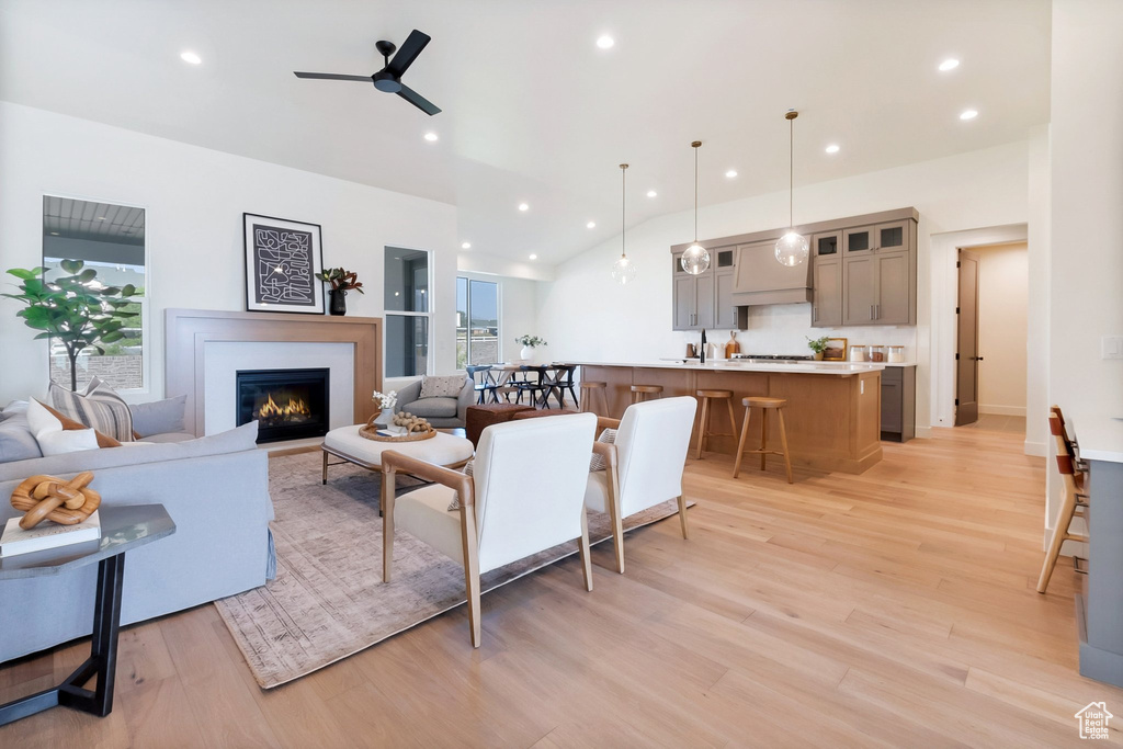 Living room with light hardwood / wood-style floors, a wealth of natural light, and ceiling fan