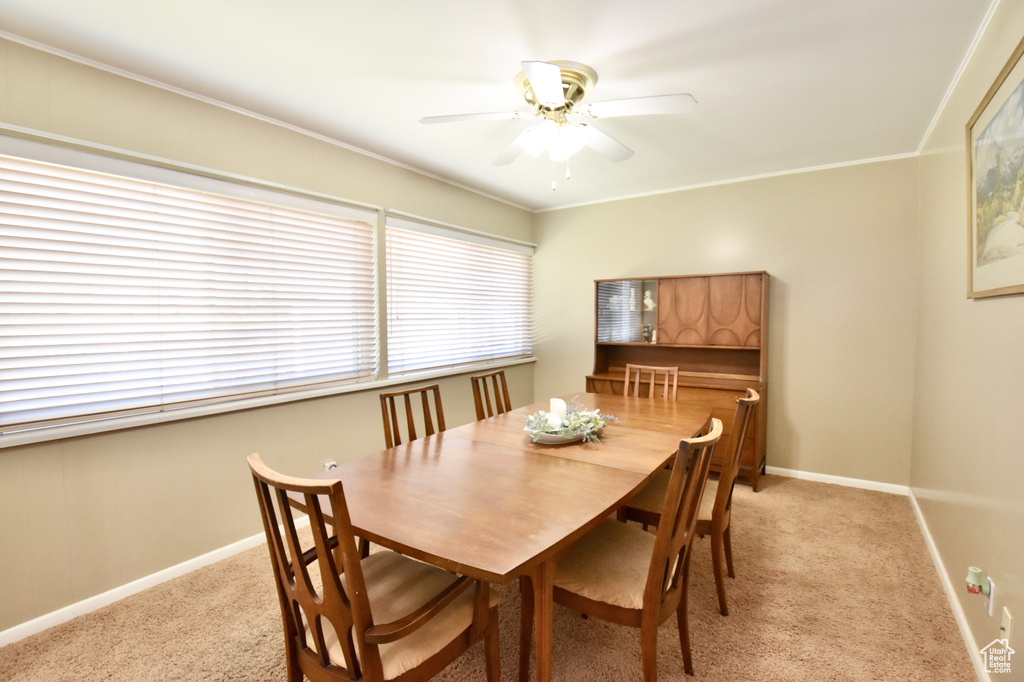 Carpeted dining area featuring ceiling fan and ornamental molding