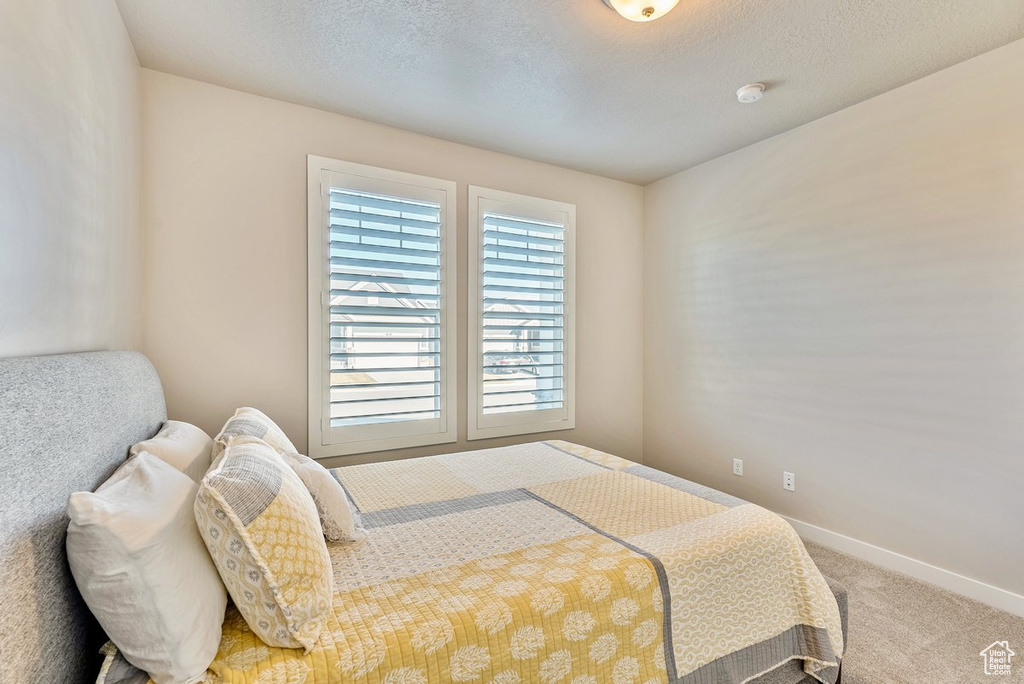 Bedroom featuring multiple windows, a textured ceiling, and light carpet