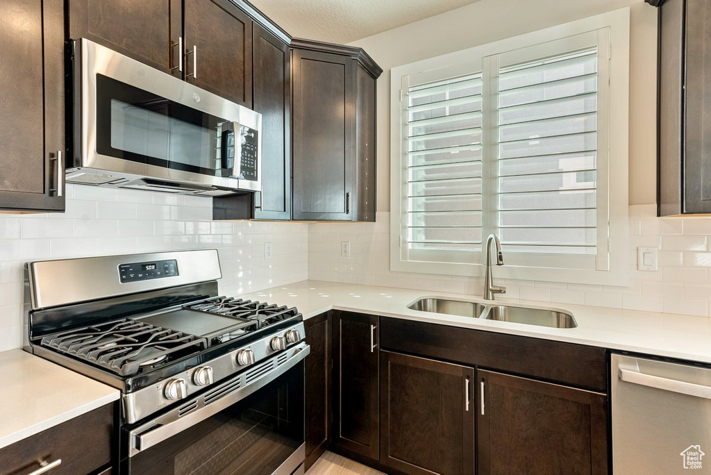 Kitchen featuring dark brown cabinetry, stainless steel appliances, plenty of natural light, sink, and tasteful backsplash