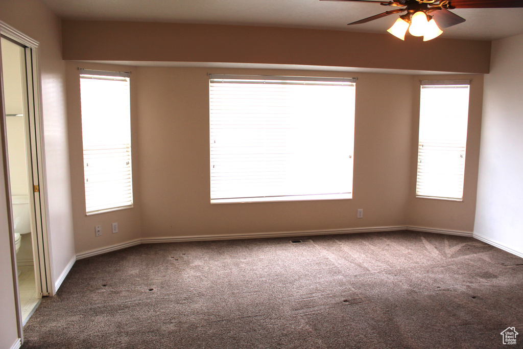 Carpeted spare room featuring a wealth of natural light and ceiling fan
