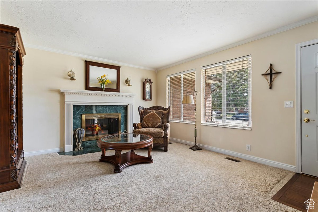Living area featuring ornamental molding, carpet, and a high end fireplace