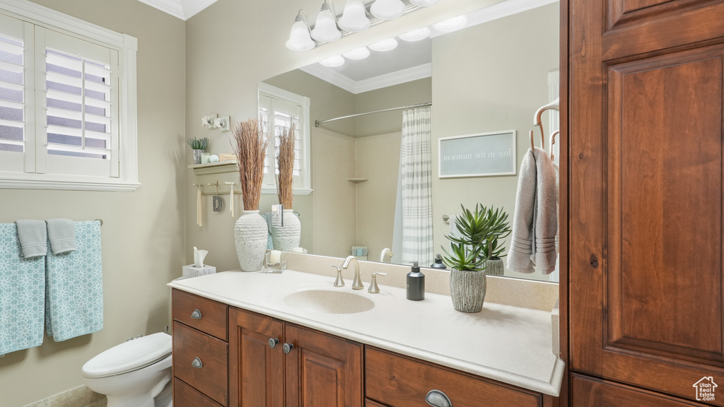 Bathroom with ornamental molding, vanity, and toilet
