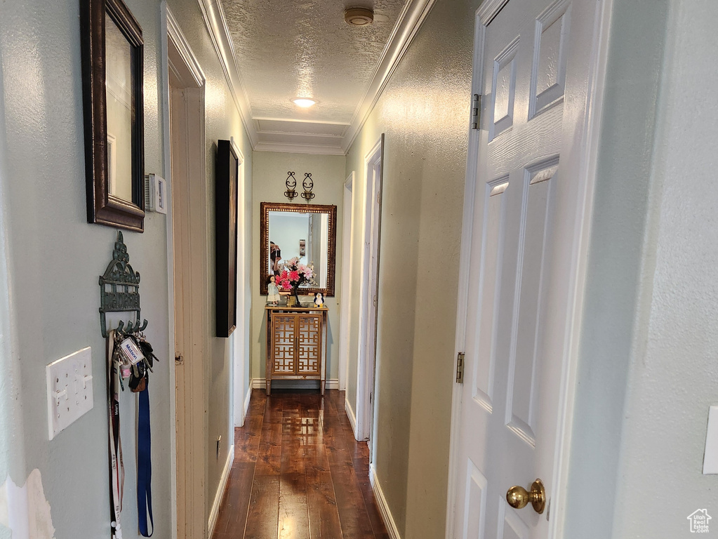 Hall with a textured ceiling, dark hardwood / wood-style floors, and crown molding