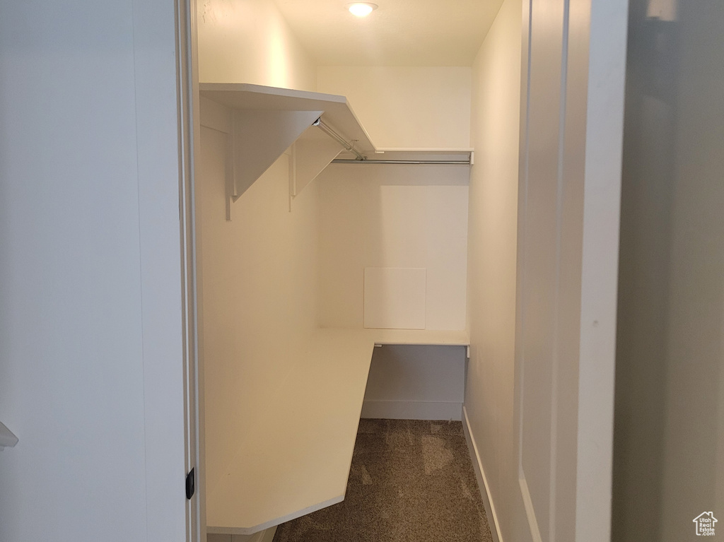 Walk in closet featuring dark carpet