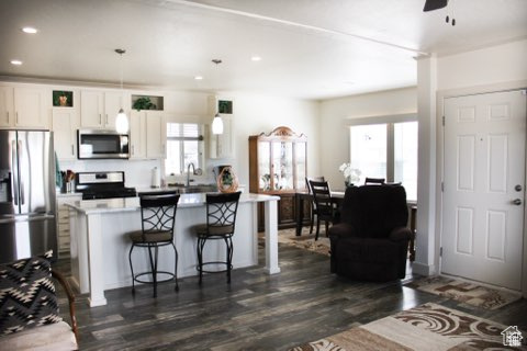 Kitchen featuring white cabinets, a breakfast bar area, stainless steel appliances, dark hardwood / wood-style floors, and ceiling fan