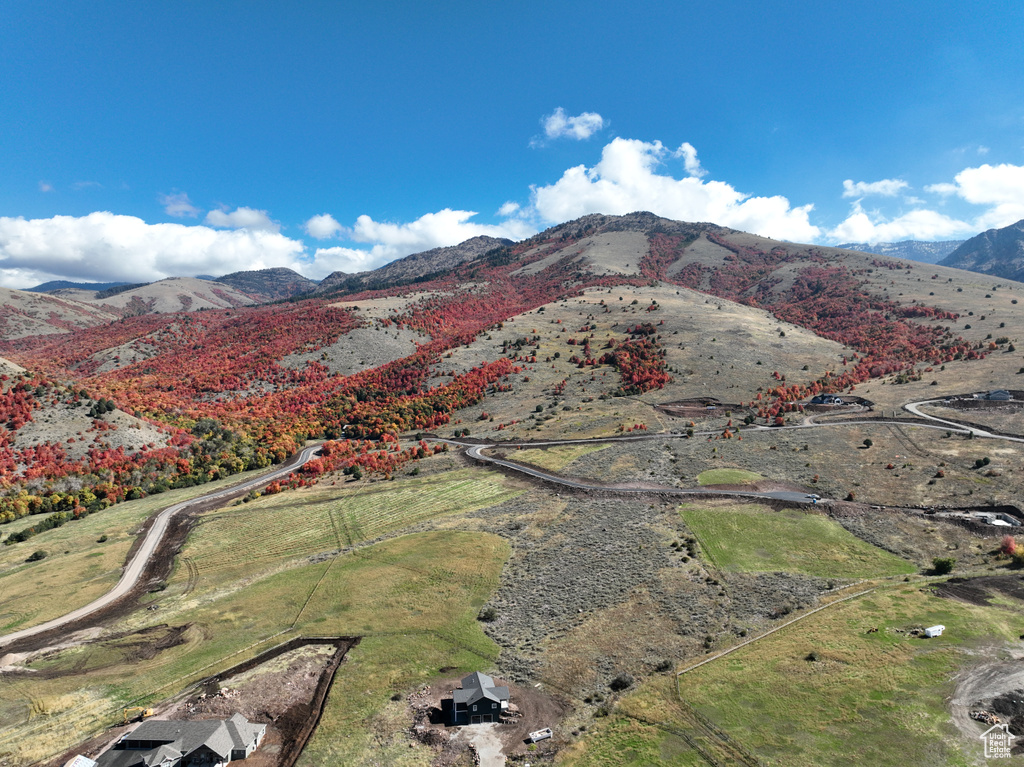 Birds eye view of property featuring a mountain view