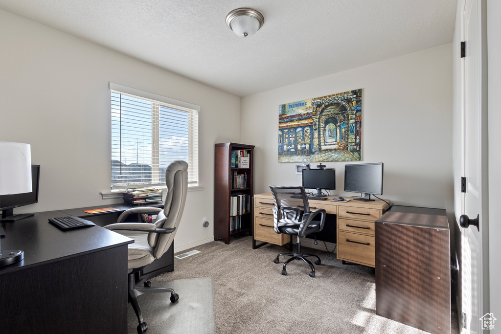 Office space featuring carpet flooring