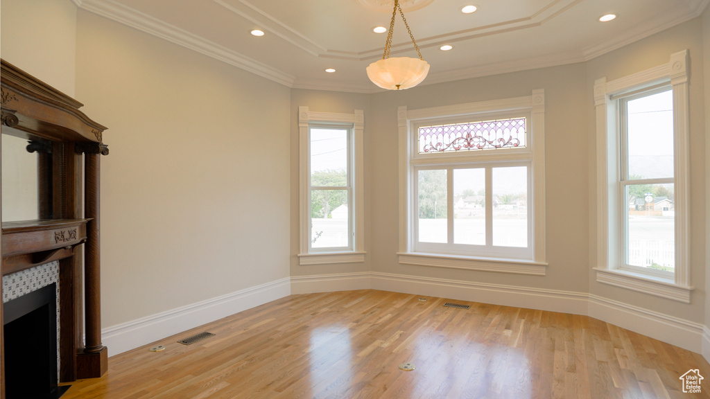 Interior space featuring a tray ceiling, light hardwood / wood-style floors, a fireplace, and a healthy amount of sunlight