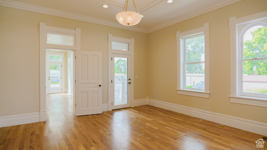 Foyer entrance featuring a healthy amount of sunlight and light hardwood / wood-style flooring