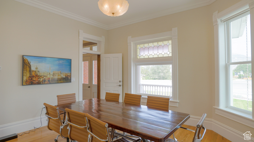 Dining room with plenty of natural light, ornamental molding, and light hardwood / wood-style flooring