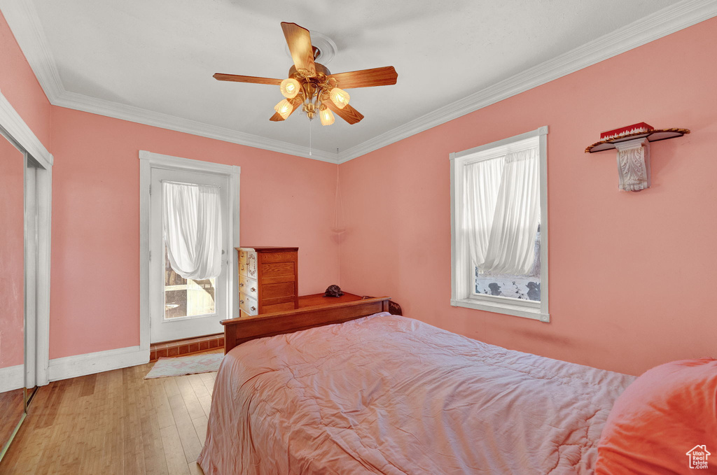 Bedroom with multiple windows, ornamental molding, light wood-type flooring, and ceiling fan