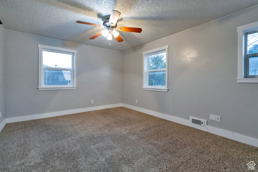 Carpeted spare room featuring a textured ceiling, a wealth of natural light, and ceiling fan