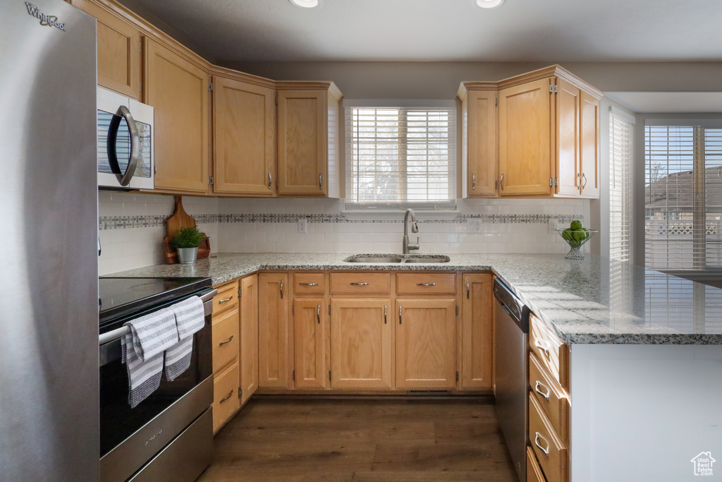 Kitchen featuring plenty of natural light, sink, dark wood-type flooring, and stainless steel appliances