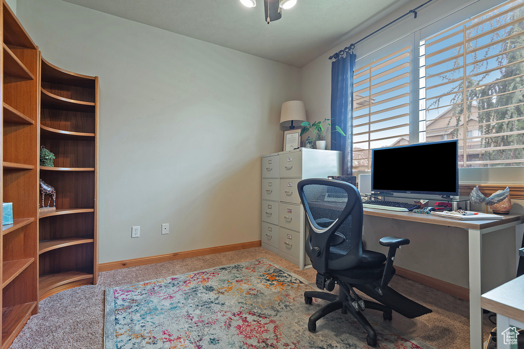 Carpeted office space featuring plenty of natural light