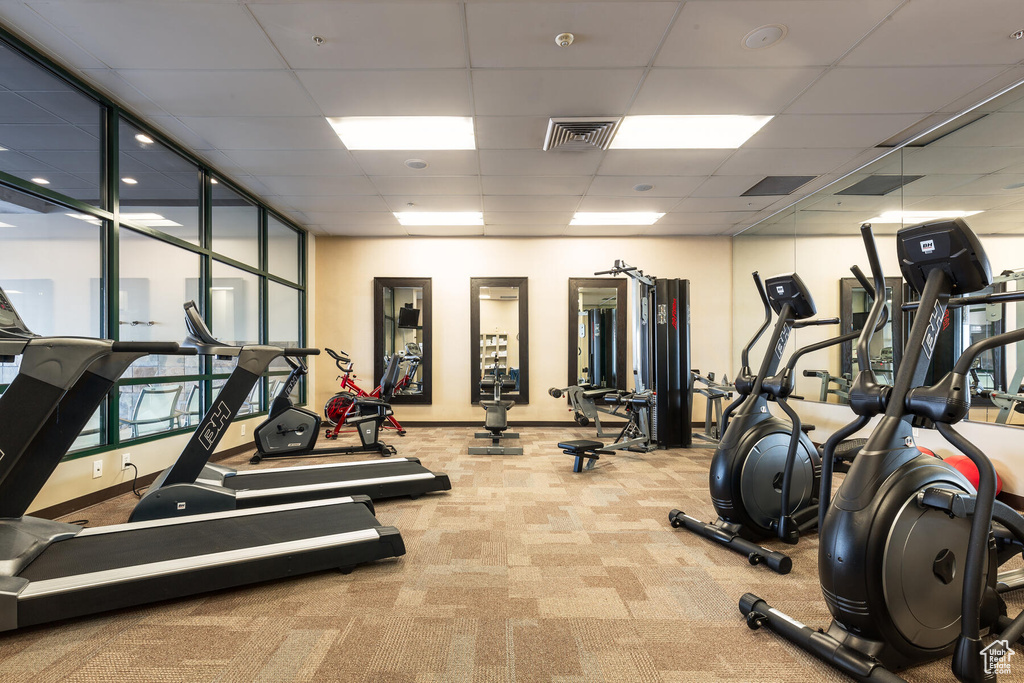 Workout area featuring a paneled ceiling and light colored carpet