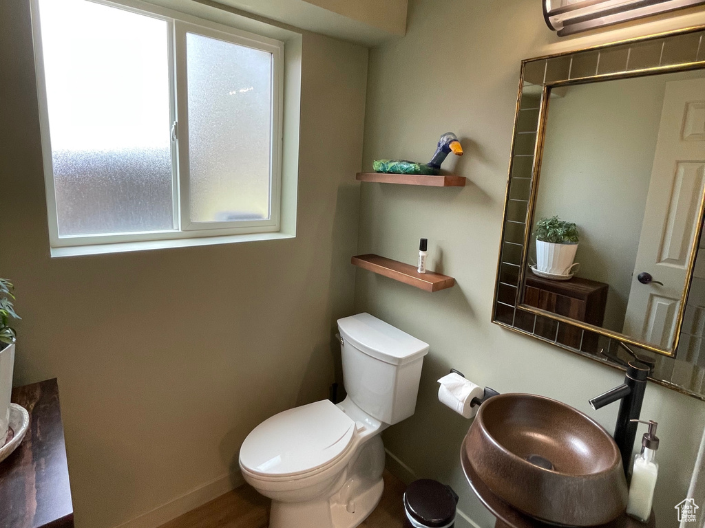 Bathroom with sink, toilet, and hardwood / wood-style flooring