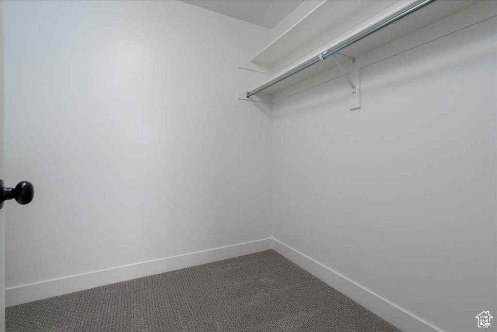 Spacious closet with carpet floors