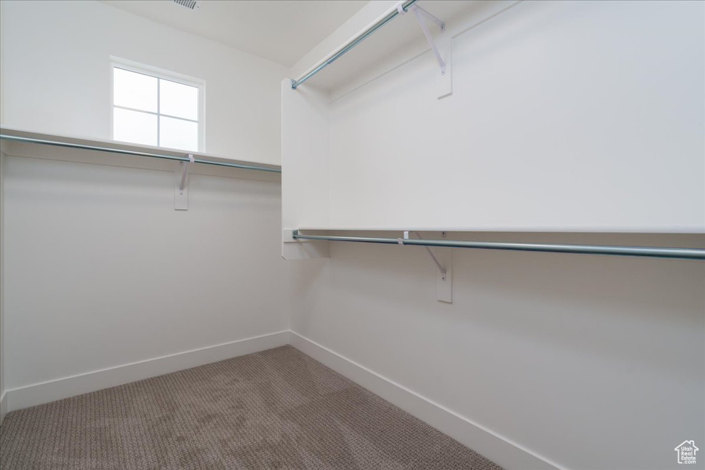 Spacious closet with carpet