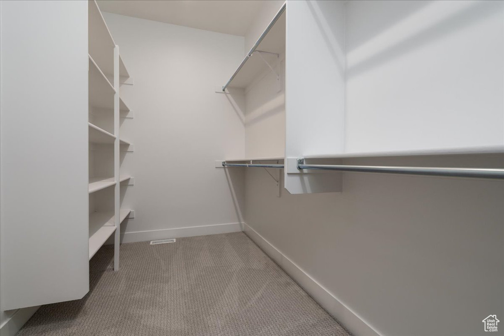 Walk in closet with light carpet