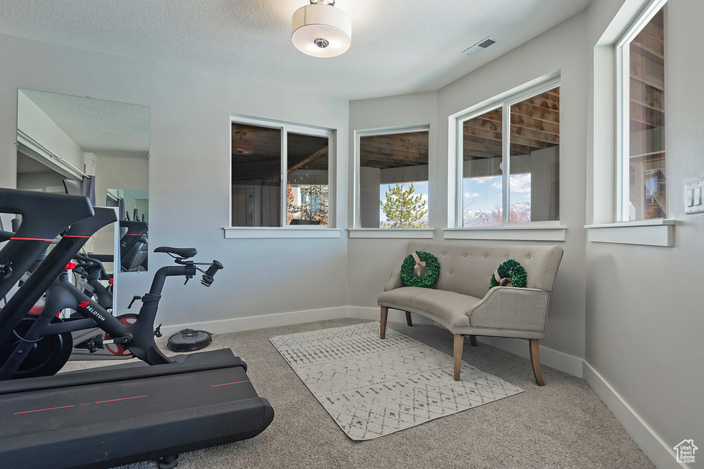 Exercise room with light carpet and a textured ceiling