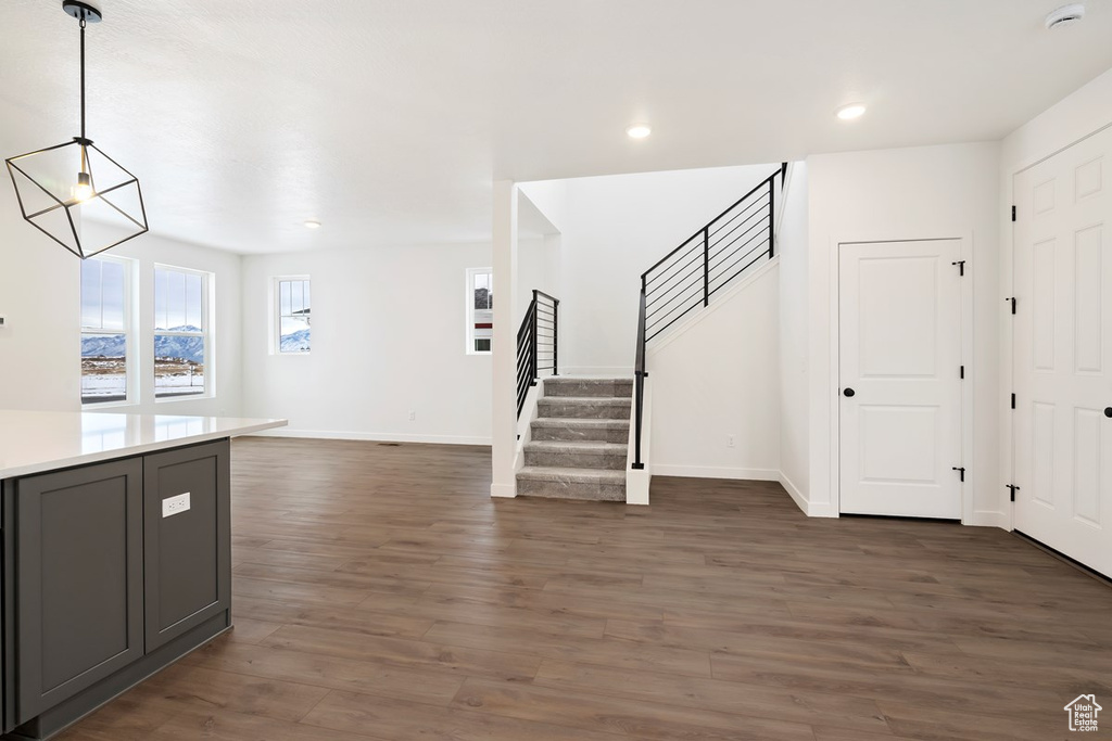 Entryway with dark hardwood / wood-style flooring