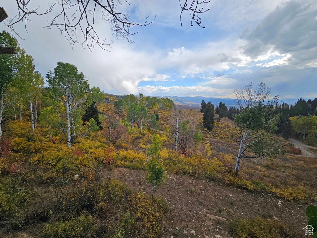 Property view of mountains