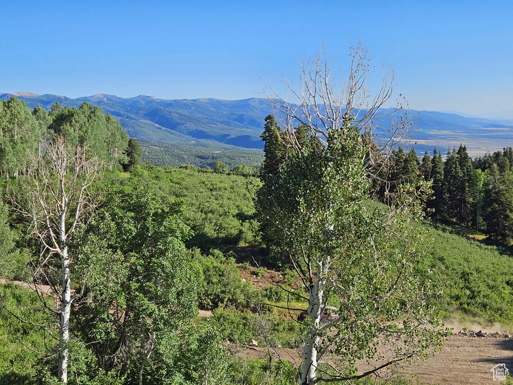 View of mountain backdrop featuring a forest