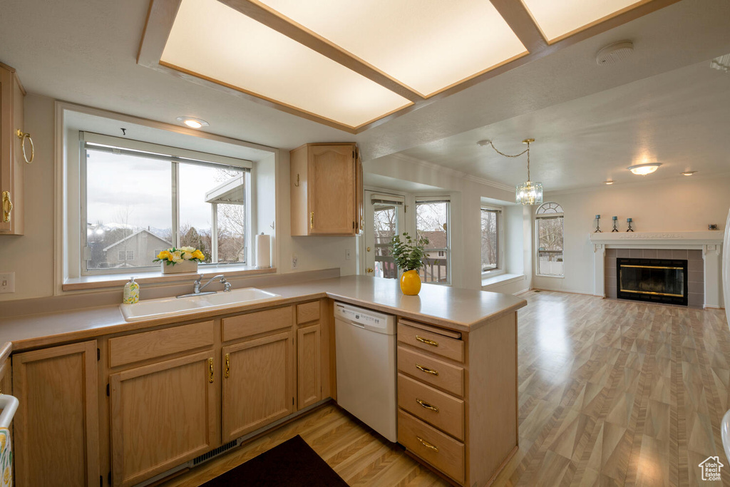 Kitchen featuring light hardwood / wood-style floors, decorative light fixtures, a fireplace, sink, and white dishwasher